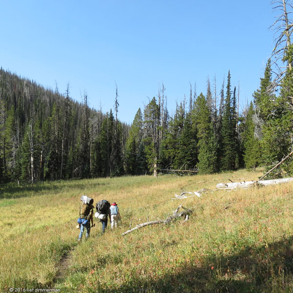 Howell2016-MeadowGroup