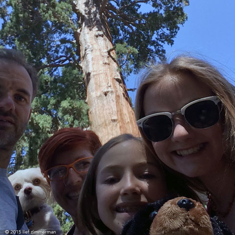 Mermaids! in Sequoia Nat'l Forest