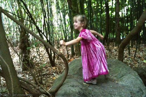 Dah da Don da Daaa Da