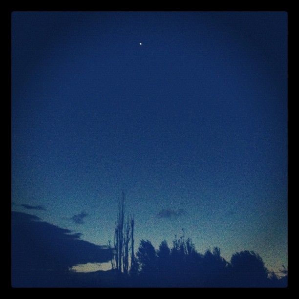 Venus-rise  - instablief