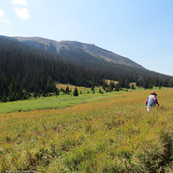 Howell2016-HazelMeadow