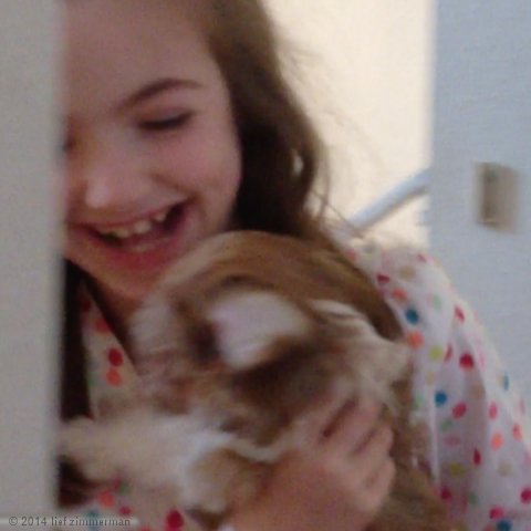 The REAL Bozo The Dog