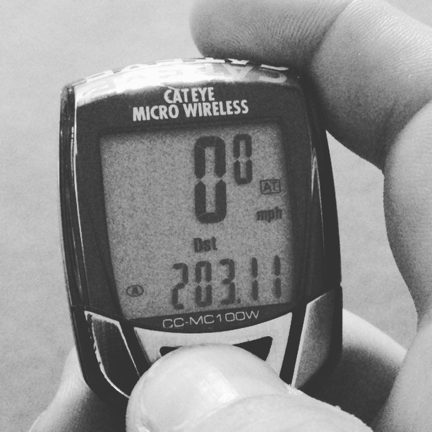 2013 Seattle To Portland bike ride.