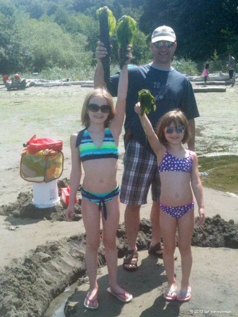 more like Gilligan Survivor