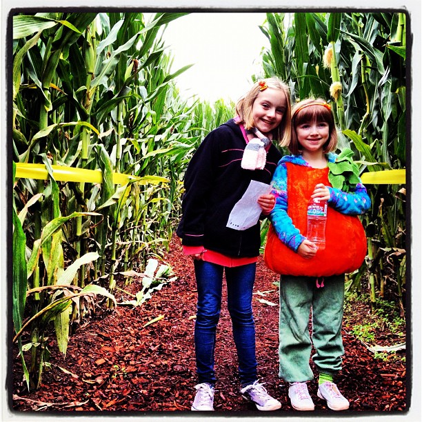 Corn Rules!  - instablief