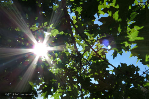 sunlight on my shoulders