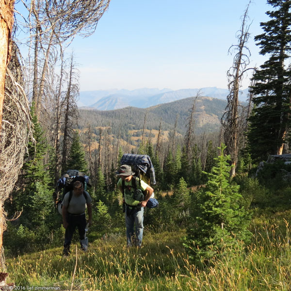 Howell2016-LiefLouieTimber