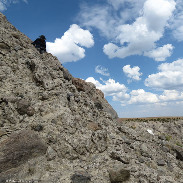 Howell2016-HazelDescend