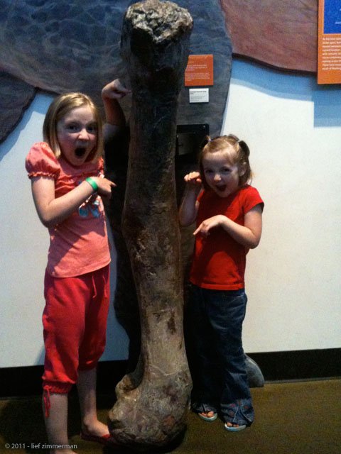 Now THAT'S a femur.