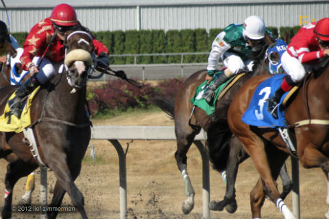 sport of kings...and dollars