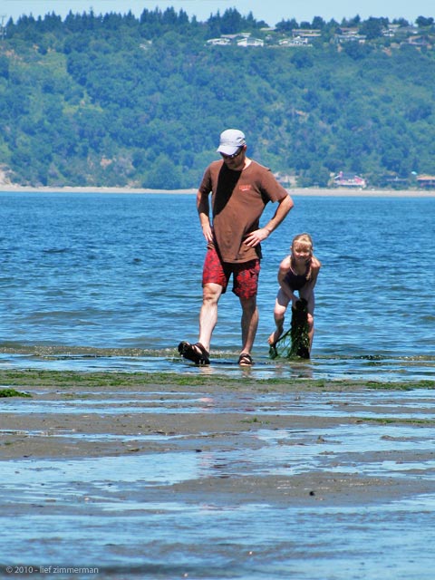 The plan is hatched...