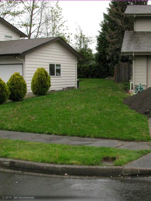 Start with this green...