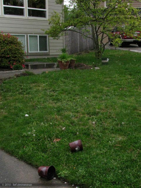 and all this green...