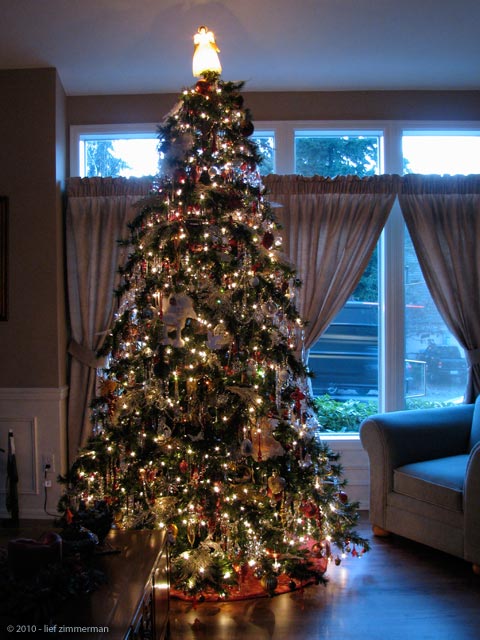 The impossible, ten-hour tree.