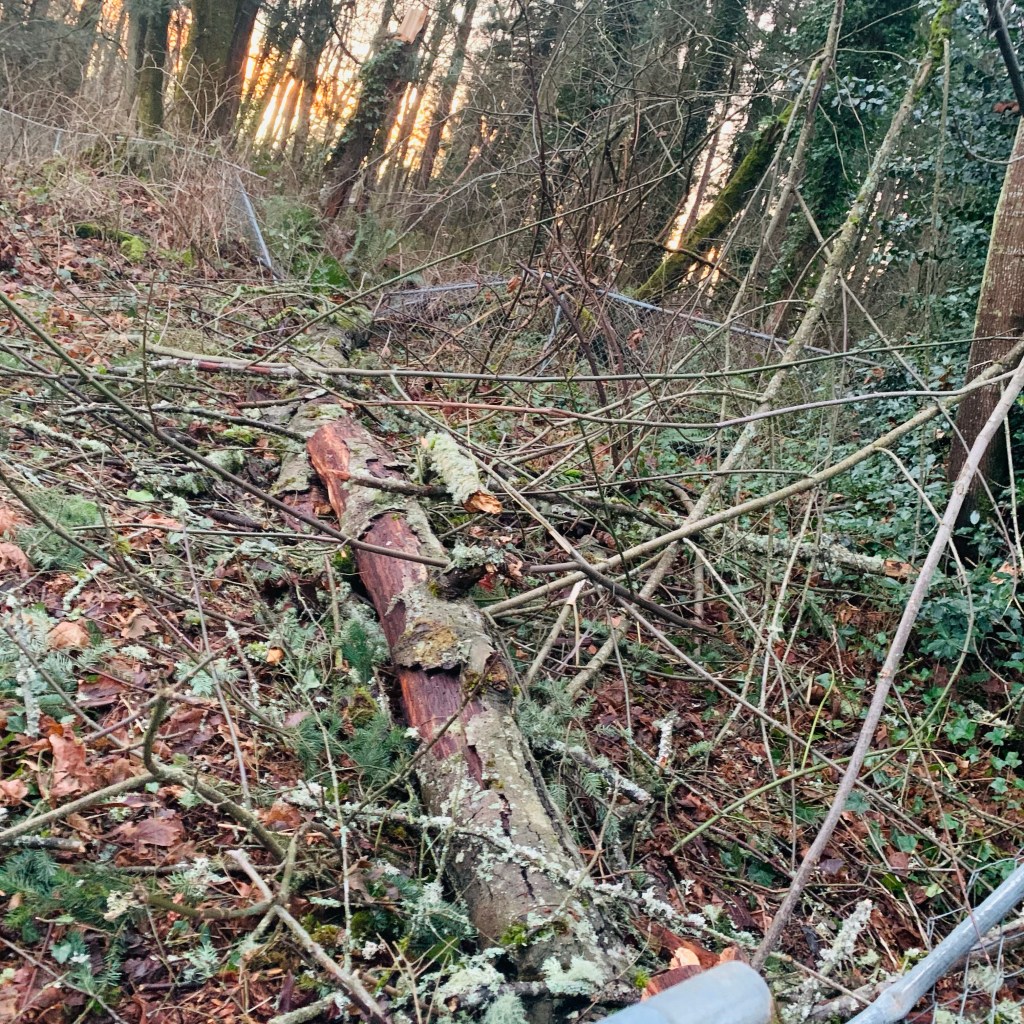 So much for “not much wind”!!